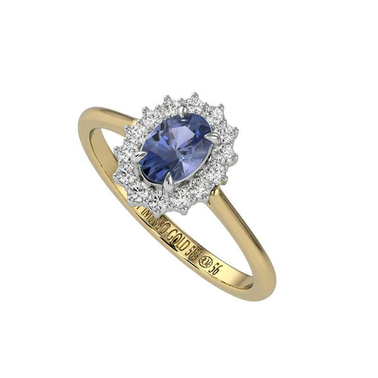 ✨ Lady Diana Ring | 14K Echt Goud
