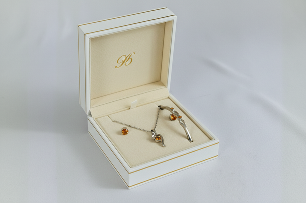 Luxe geschenkdoos met fluweel